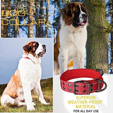 ADITYNA - 2 inch Wide Dog Collar with Handle for XXL Dogs - Big Dog Collars for Giant Breeds Such as Mastiffs, Newfoundlands, and Saint-Bernards