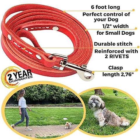 ADITYNA - Premium Leather Dog Leash - 6 ft, Heavy-Duty, Soft & Strong for Small/Medium Dogs (Small: 6 ft x 1/2", Red)