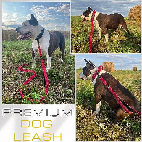 Heavy Duty Bungee Dog Leash 6 ft - 7.5 ft for Large and Medium Dogs | No Pull, Reflective, Tactical Dog Leash | Soft Neoprene Padded Double Handle (Red)