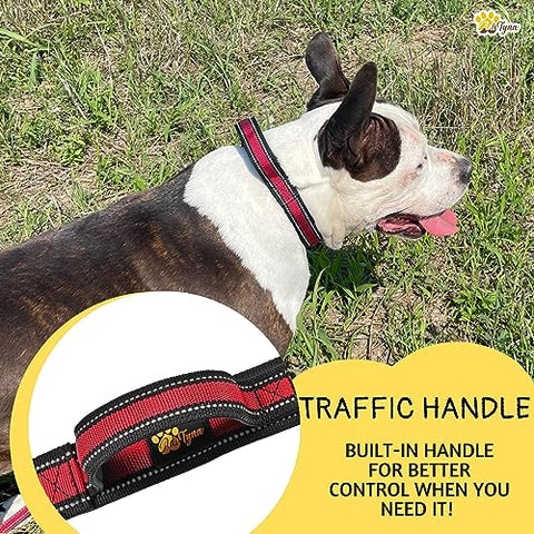 ADITYNA - Heavy-Duty Dog Collar for Large Dogs - Red Dog Collar with Handle - Ultra Comfortable Soft Neoprene Padded