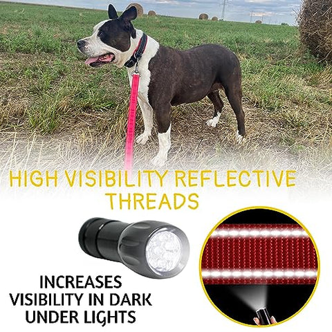 Heavy Duty Bungee Dog Leash 6 ft - 7.5 ft for Large and Medium Dogs | No Pull, Reflective, Tactical Dog Leash | Soft Neoprene Padded Double Handle (Red)