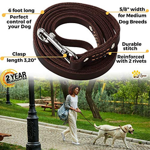 ADITYNA Leather Dog Leash 6 Foot - Soft and Strong Leather Leash for Small and Medium Dog (6 ft x 5/8", Brown)
