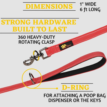 Comfortable Dog Leash for Small, Medium, Large Dog Breeds - Double Handle Padded with Ultra Soft Neoprene