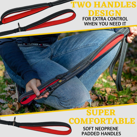 Comfortable Dog Leash for Small, Medium, Large Dog Breeds - Double Handle Padded with Ultra Soft Neoprene