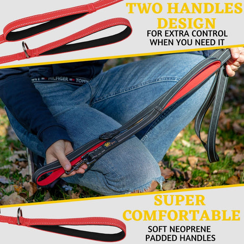 Comfortable Dog Leash for Small, Medium, Large Dog Breeds - Double Handle Padded with Ultra Soft Neoprene