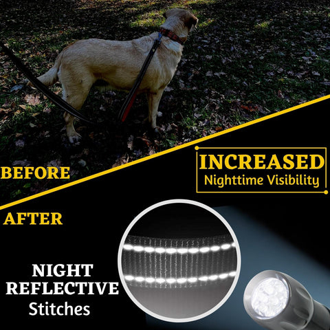 Comfortable Dog Leash for Small, Medium, Large Dog Breeds - Double Handle Padded with Ultra Soft Neoprene