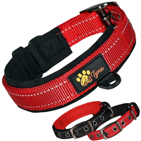 Dog Collar for Extra-Small Dogs - Red Dog Collar for Puppy Girls and Boys - Reflective Threads and Soft Padding