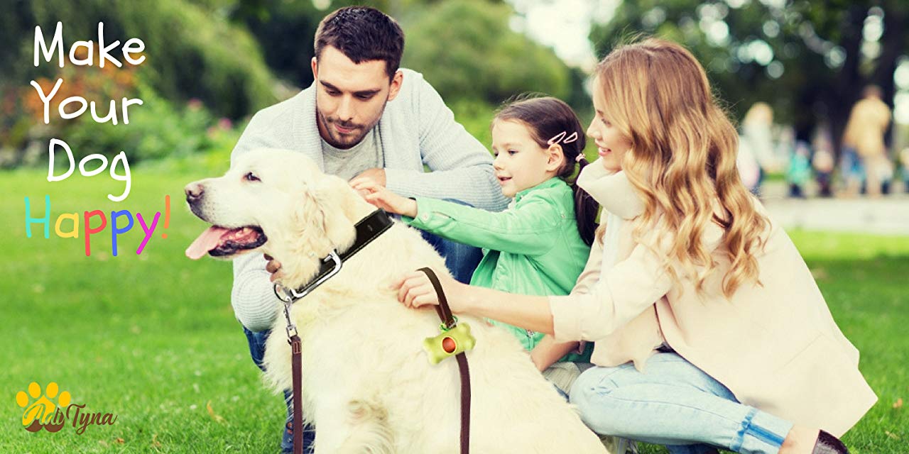 Essential Commands You Can Teach Your Dog