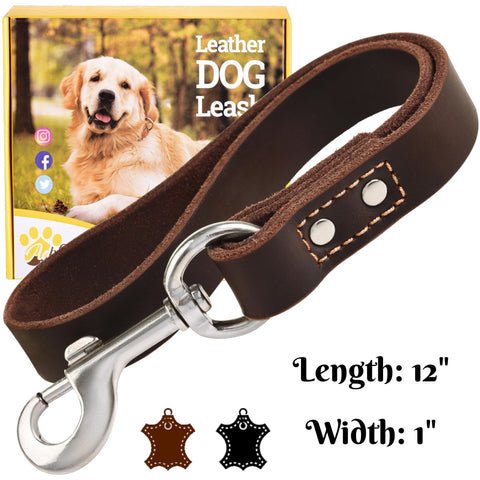 Short Leather Leash