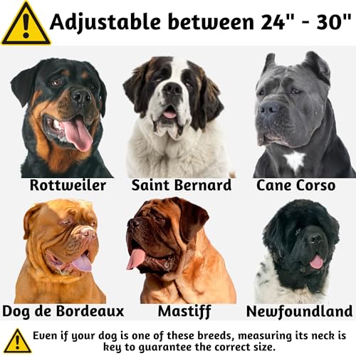 Heavy Duty Dog Collar with Handle - Reflective for Medium, Large & Extra-Large Dogs - Wide & Thick for Training & Walking