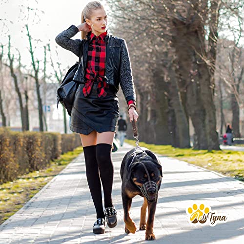 ADITYNA Short Dog Leash 12" length x 1" wide - Traffic Leather Dog Leash for Medium, Large and Extra-Large Dogs