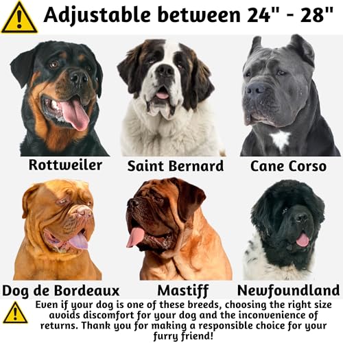 ADITYNA Ultra Comfortable Soft Neoprene Padded Dog Collar for All Dog Breeds