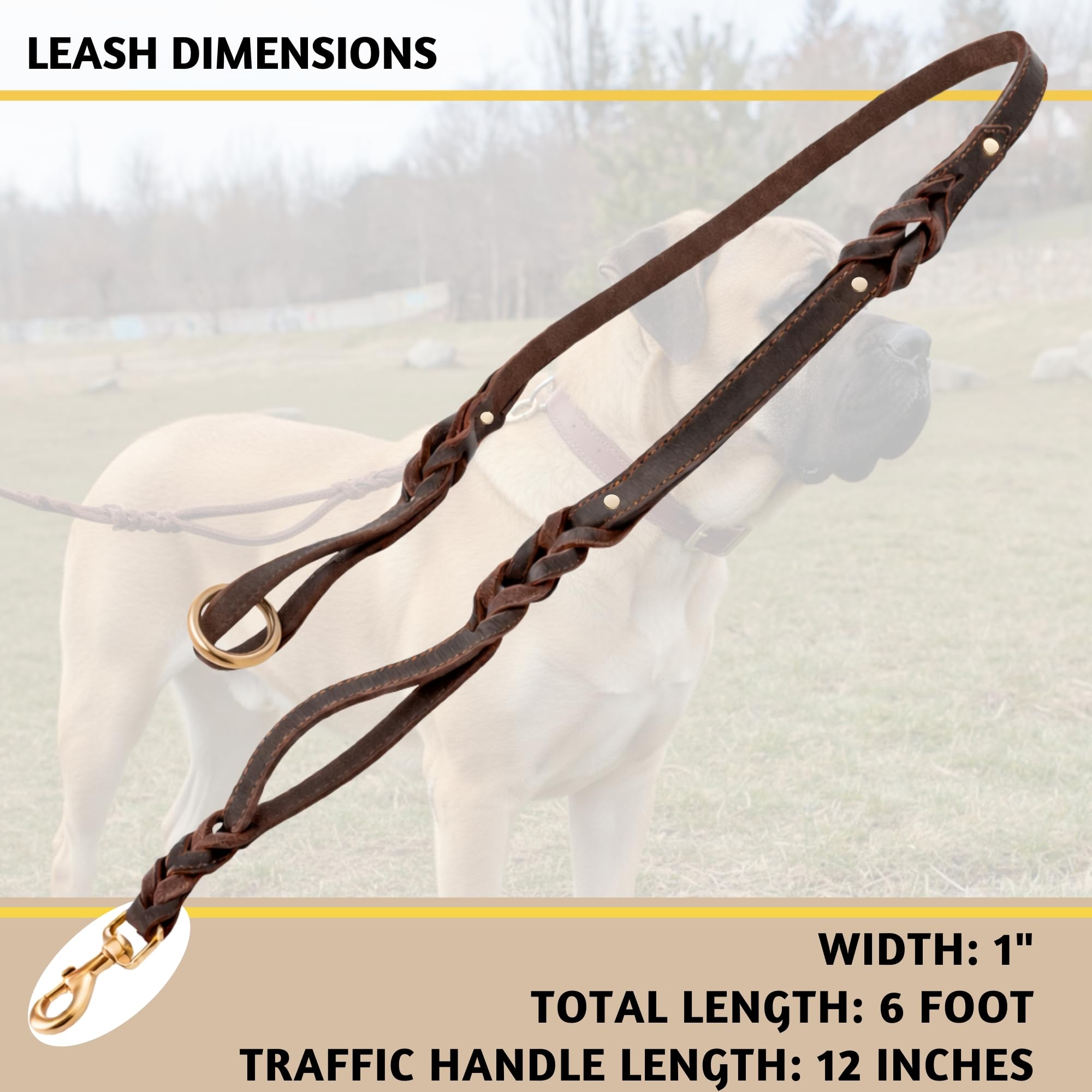 ADITYNA - Double Handle Leather Dog Leash 6ft x 1