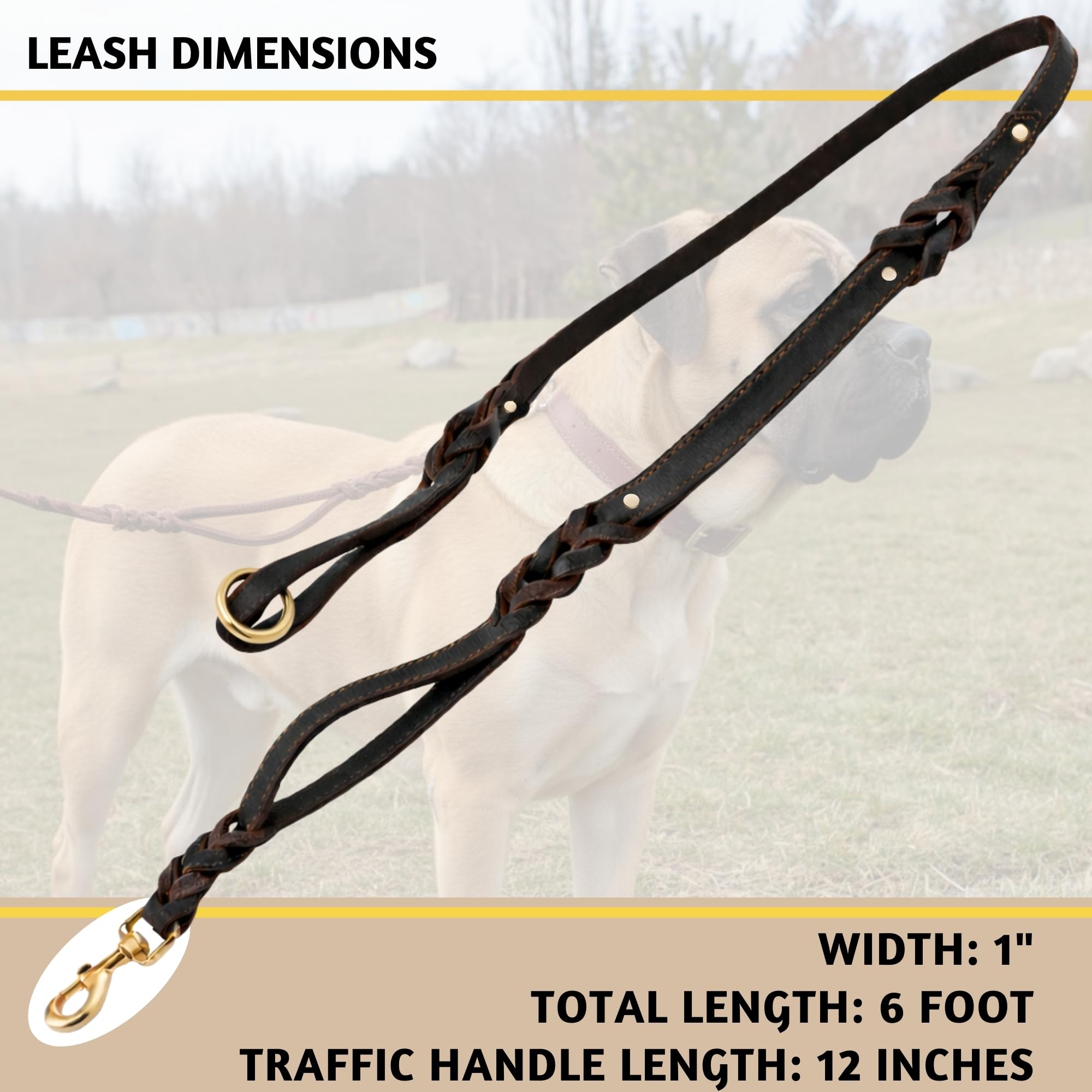 ADITYNA - Double Handle Leather Dog Leash 6ft x 1" - Heavy Duty Braided Dog Leash with Traffic Handle for Mastiff, Saint-Bernard, Rottweiler - Lead for Extra-Large Breeds (Black, Two Handles 6 Foot x 1")