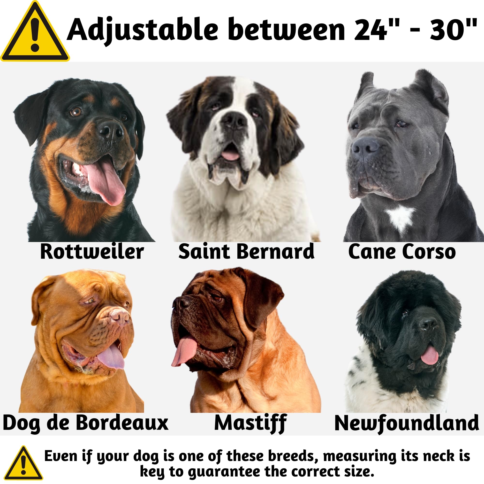 ADITYNA - Heavy Duty Dog Collar for Extra-Large Dogs - Camo Purple Collar with Handle for Training, and Walking - Wide, Thick, Tactical, Soft Neoprene Padded