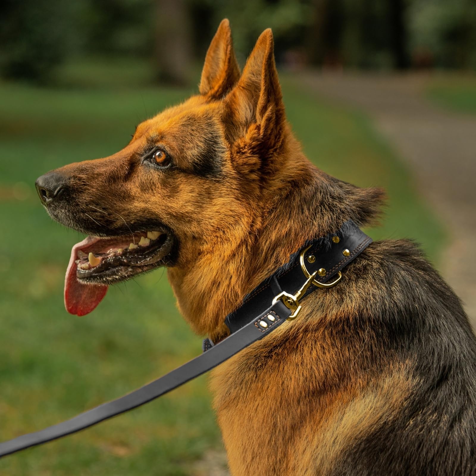 ADITYNA Heavy Duty Leather Dog Collar for Large Dogs - Soft and Strong Leather Collar for Walking and Training (Black - Gold Colored Buckle, Large: Fit 17" - 23" Neck)