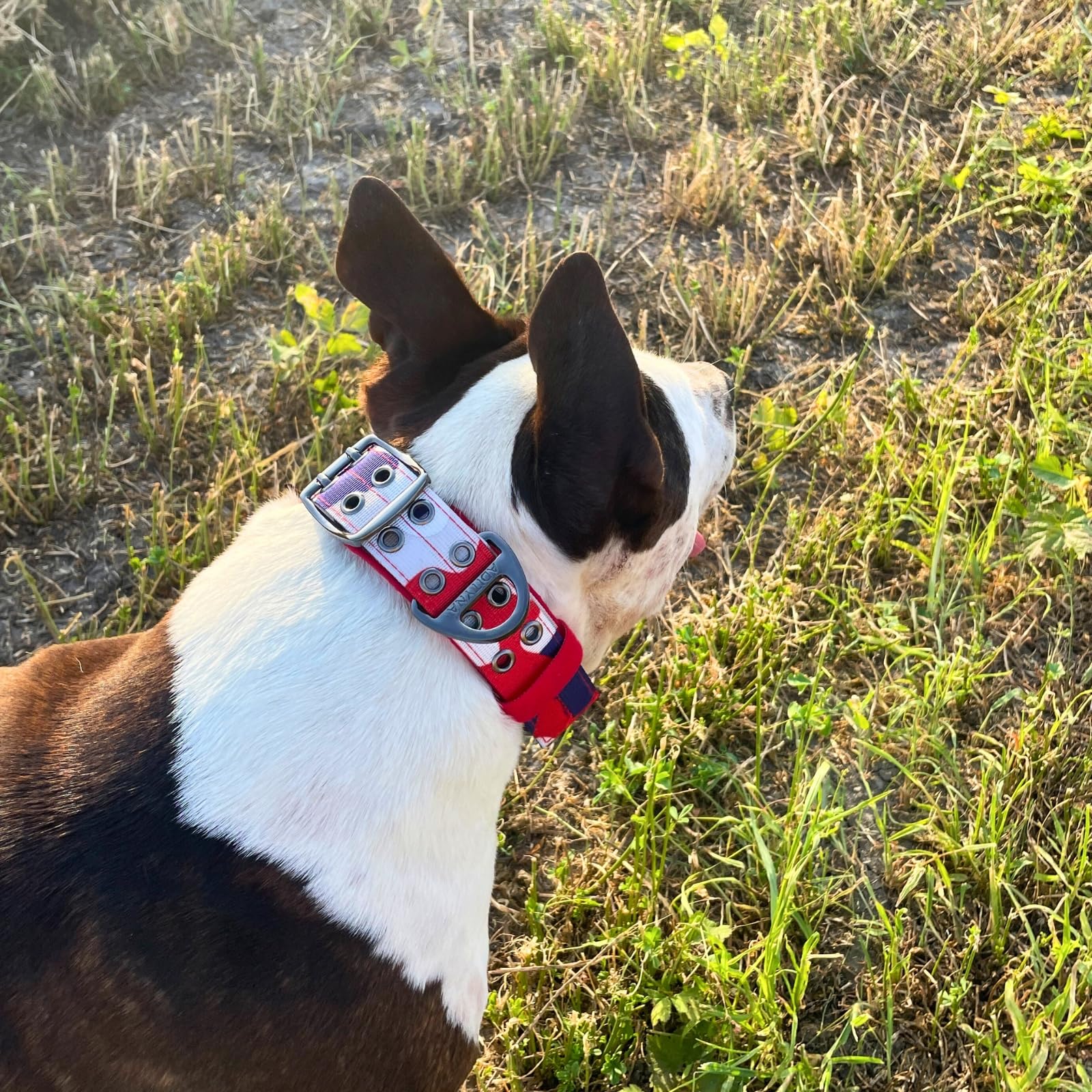 ADITYNA - Heavy Duty Dog Collar for Large Dogs - Camo Red Blue Collar with Handle for Training, and Walking - Wide, Thick, Tactical, Soft Neoprene Padded