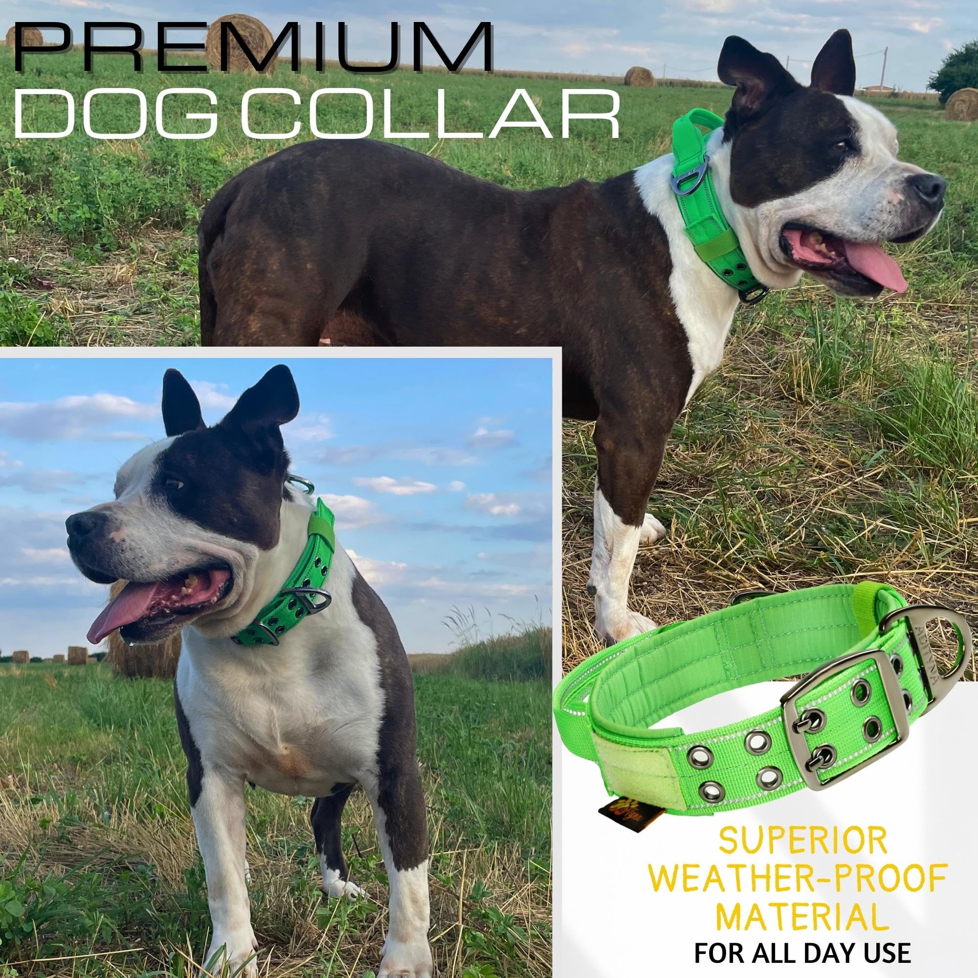 ADITYNA - Heavy Duty Dog Collar for Extra-Large Dogs - Reflective Green Collar with Handle for Training, and Walking - Wide, Thick, Tactical, Soft Neoprene Padded