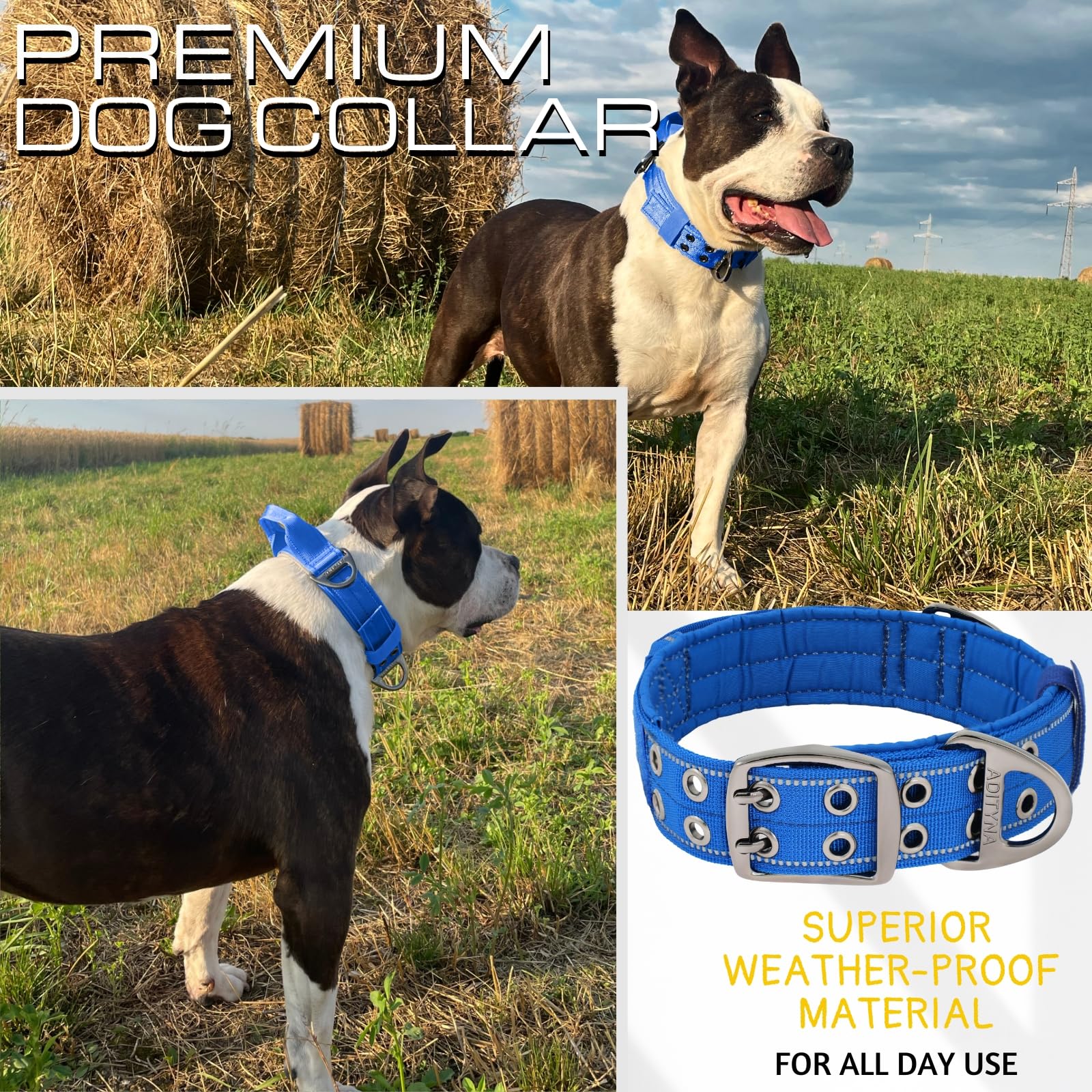 ADITYNA - Heavy Duty Dog Collar for Large Dogs - Reflective Royal Blue Collar with Handle for Training, and Walking - Wide, Durable, Comfortable