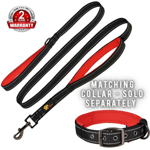 Comfortable Dog Leash for Small, Medium, Large Dog Breeds - Double Handle Padded with Ultra Soft Neoprene
