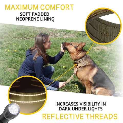 Dog Collar for All Dog Breeds - Heavy Duty, Reflective, Soft Padded Dog Collar (XL, Green)