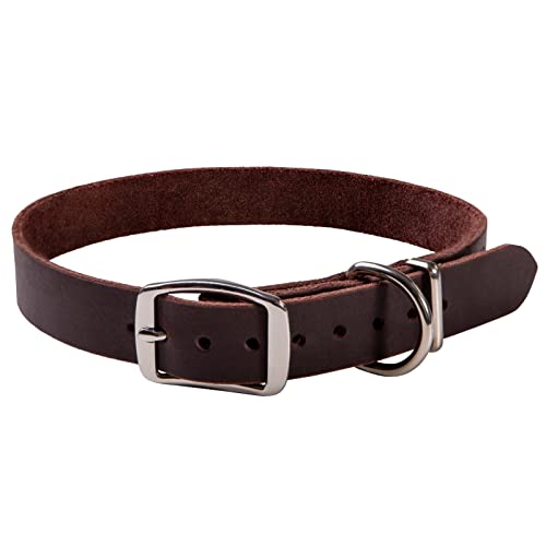 ADITYNA Premium Leather Dog Collar for Large Dogs - Classic Style, Soft and Strong, 100% Genuine Leather, (Large, Brown)