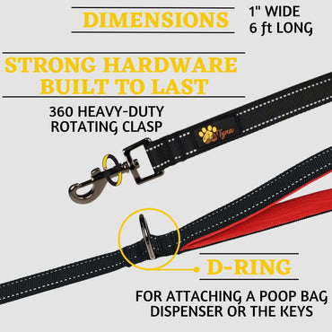 Comfortable Dog Leash for Small, Medium, Large Dog Breeds - Double Handle Padded with Ultra Soft Neoprene