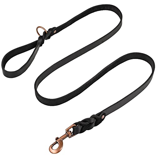 ADITYNA Braided Leather Dog Leash 5.6 ft - Heavy Duty Training Leather Dog Leashes for Small, Medium, Large and Extra-Large Dogs (Black, 5.6 ft x 3/4