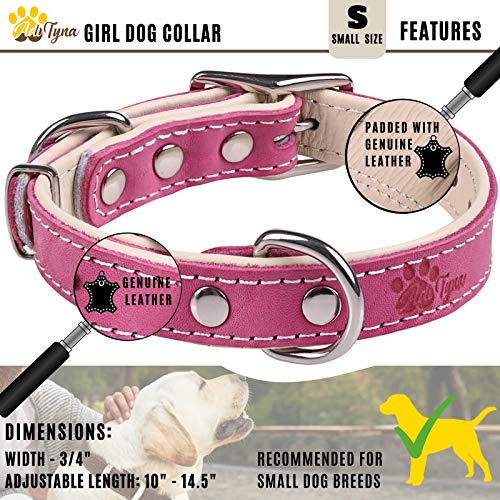 female cute dog collars
