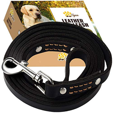 ADITYNA Leather Dog Leash 6 Foot - Soft and Strong Leather Leash for Small and Medium Dog (6 ft x 5/8", Black)