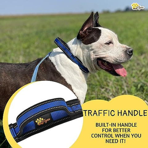 ADITYNA - Heavy-Duty Dog Collar for Large Dogs - Blue Dog Collar with Handle - Ultra Comfortable Soft Neoprene Padded