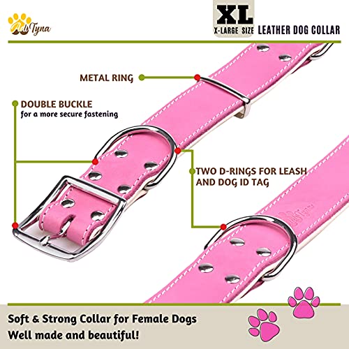 ADITYNA Padded Leather Dog Collar – Girl Dog Collars – Pink Dog Collar –  Adityna