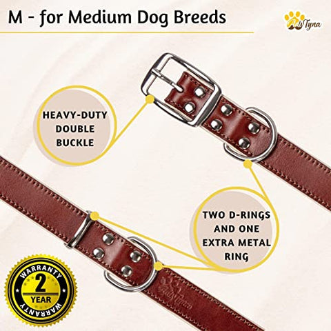 ADITYNA Premium Leather Dog Collar for Medium Dogs - Padded with 100% Genuine Leather - Soft and Strong Dog Collars