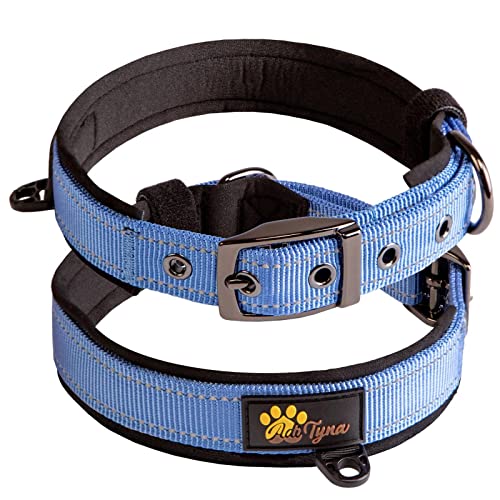 Adityna - Dog Collar for Extra-Small Dogs - Blue Dog Collar for Puppy Boys - Reflective Threads and Soft Padding