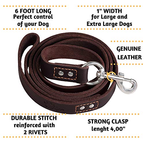 ADITYNA - Heavy Duty Leather Dog Leash 6 foot x 1