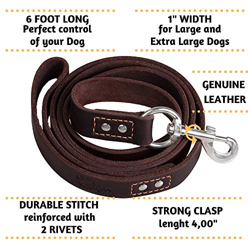 Leather Dog Leash 6ft ,Dog Collar and Leash Set,Soft and Comfortable Dog  Training Leather Leash and dog Walking Leash,Strong Braided Dog Collar and  Leash Set for Heavy Duty Dog,Large Medium Small Dogs 