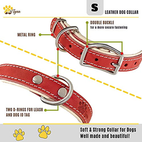 ADITYNA Padded Leather Dog Collar – Heavy Duty Red Dog Collars – Soft and Strong Dog Collars for Small Dogs