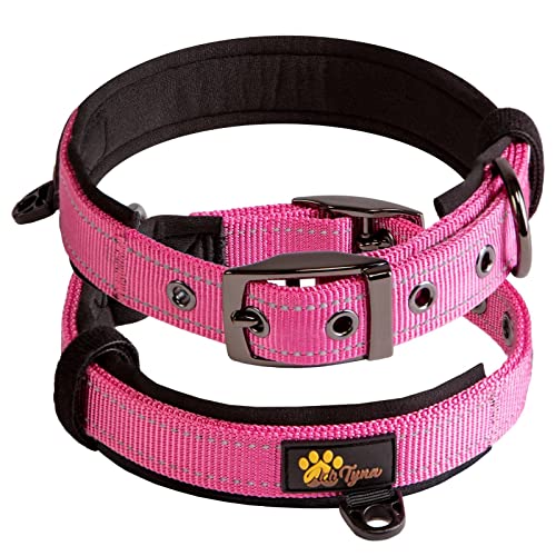 Adityna - Dog Collar for Small Dogs - Pink Dog Collars for Puppy Girls - Reflective Threads and Soft Padding