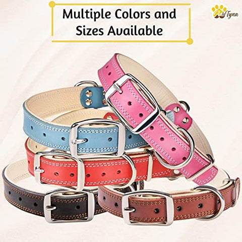 ADITYNA Premium Leather Dog Collar for Medium Dogs - Padded with 100% Genuine Leather - Soft and Strong Dog Collars