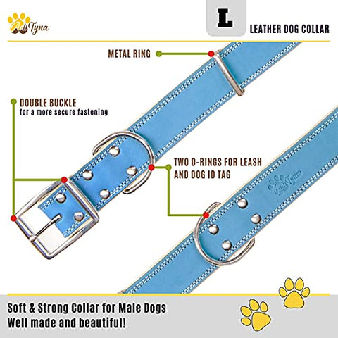 ADITYNA Padded Leather Dog Collar – Boy Dog Collars – Blue Dog Collars for Large Male Dogs