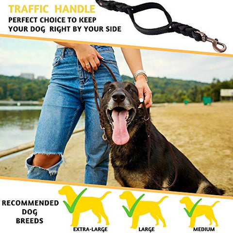 Braided Leather Dog Leash 6 ft x 5/8" - Soft and Strong Leather Dog Leash (Double Handle 6 Foot x 5/8"", Black)
