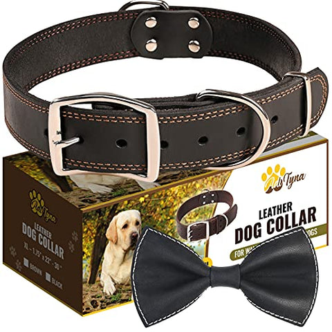 Leather Dog Collar for Extra-Large Dogs - Heavy Duty Wide Dog Collars (XL: 1,5" Width / 22"- 30" Length, Black)