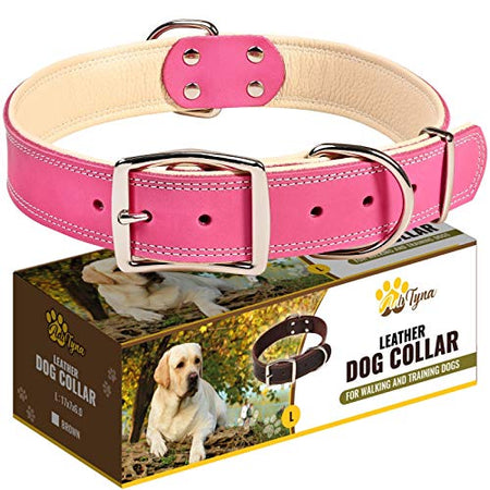 ADITYNA Padded Leather Dog Collar – Girl Dog Collars – Pink Dog Collars for Large Female Dogs
