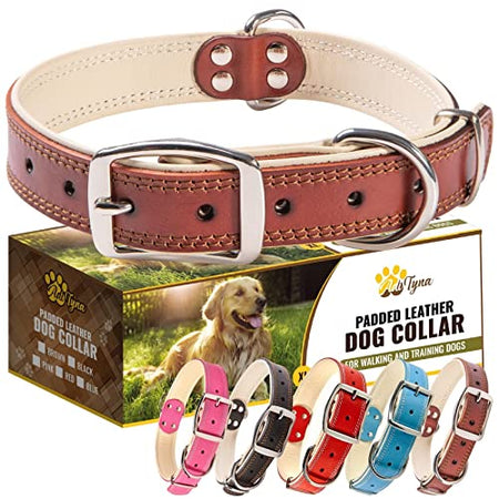ADITYNA Premium Leather Dog Collar for Large Dogs - Padded with 100% Genuine Leather - Soft and Strong Dog Collars