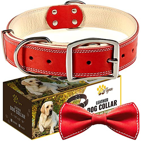 ADITYNA Padded Leather Dog Collar – Soft and Strong Red Dog Collars – Heavy Duty Dog Collars for Extra-Large Dogs