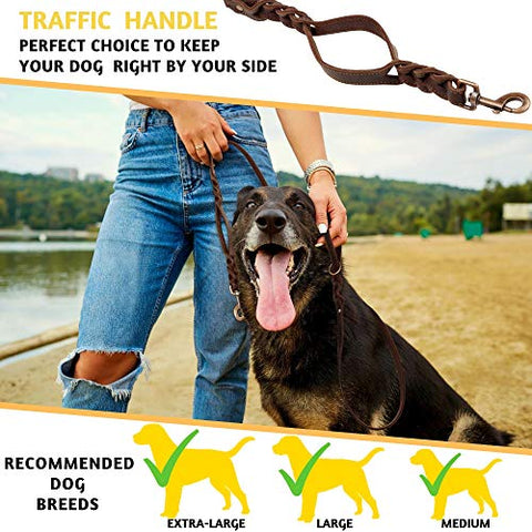Braided Leather Dog Leash 6 ft x 5/8" - Soft and Strong Leather Dog Leash for Medium Dogs (Double Handle 6 Foot x 5/8"", Brown)