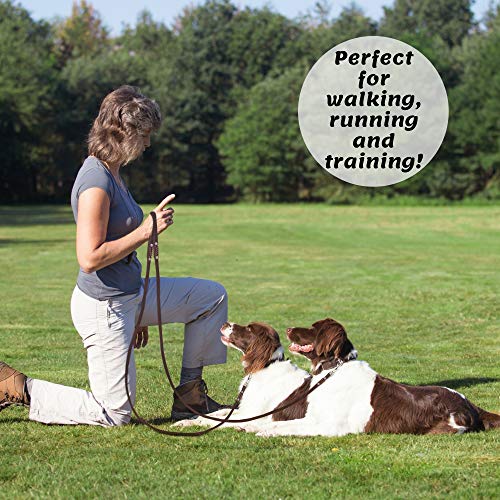 ADITYNA Leather Dog Leash 6 Foot - Soft and Strong Leather Leash for Small and Medium Dog (6 ft x 5/8