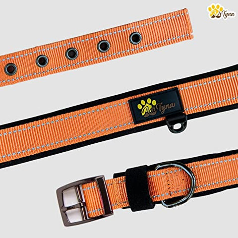 Adityna - Dog Collar for Medium Dogs - Heavy Duty Orange Dog Collar for Medium Breeds - Reflective Threads and Soft Padding (Medium, Orange)
