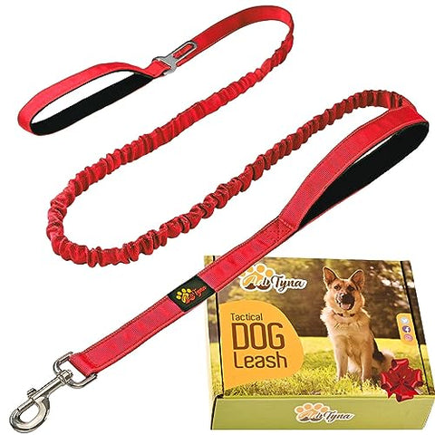 Nylon Dog Leash