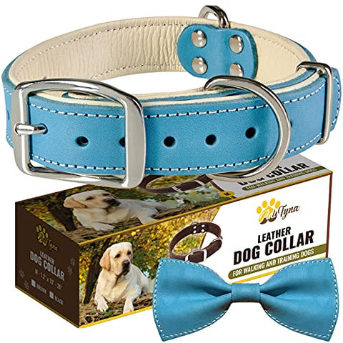 ADITYNA Padded Leather Dog Collar – Boy Dog Collars – Blue Dog Collars for Medium Male Dogs